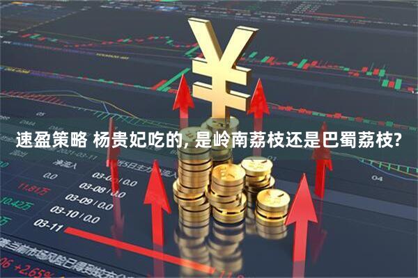 速盈策略 杨贵妃吃的, 是岭南荔枝还是巴蜀荔枝?