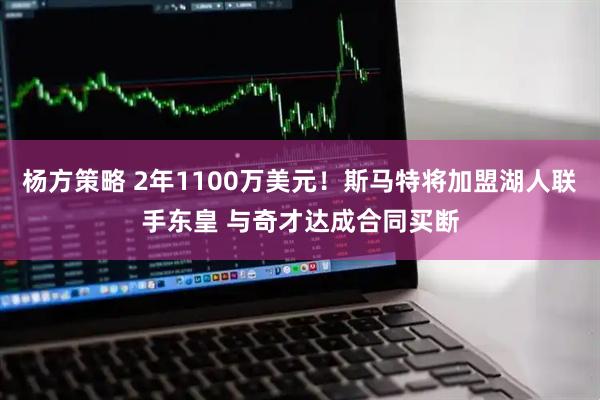 杨方策略 2年1100万美元！斯马特将加盟湖人联手东皇 与奇才达成合同买断