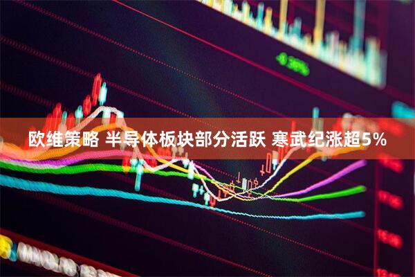 欧维策略 半导体板块部分活跃 寒武纪涨超5%