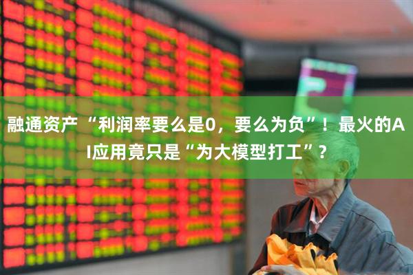 融通资产 “利润率要么是0，要么为负”！最火的AI应用竟只是“为大模型打工”？