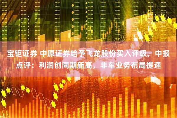 宝钜证券 中原证券给予飞龙股份买入评级，中报点评：利润创同期新高，非车业务布局提速