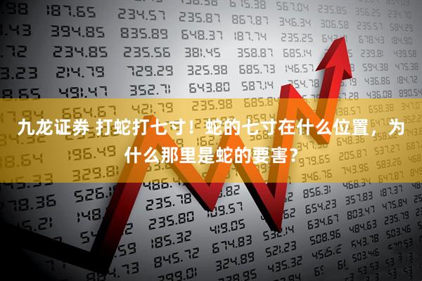 九龙证券 打蛇打七寸！蛇的七寸在什么位置，为什么那里是蛇的要害？