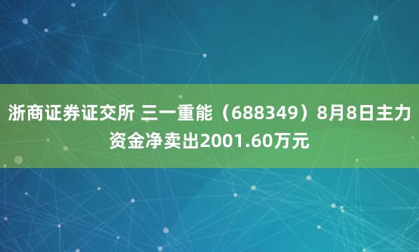 浙商证券证交所 三一重能（688349）8月8日主力资金净卖出2001.60万元