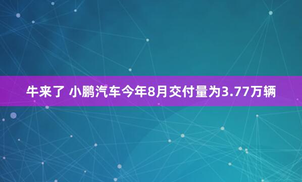 牛来了 小鹏汽车今年8月交付量为3.77万辆