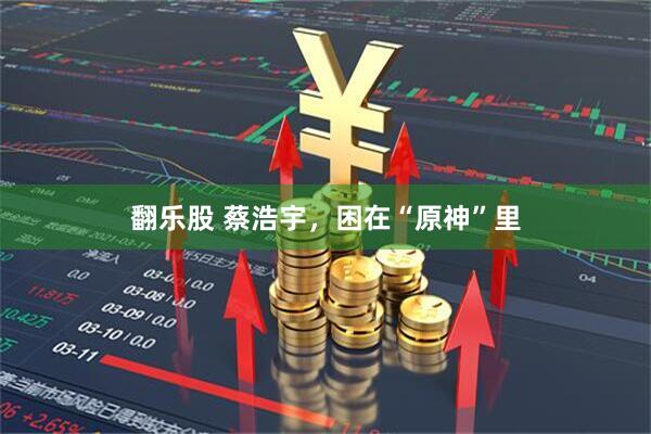翻乐股 蔡浩宇，困在“原神”里
