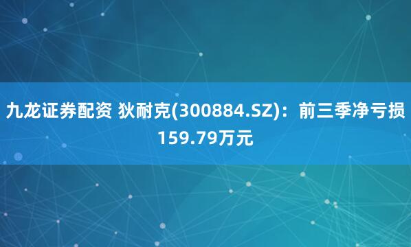 九龙证券配资 狄耐克(300884.SZ)：前三季净亏损159.79万元