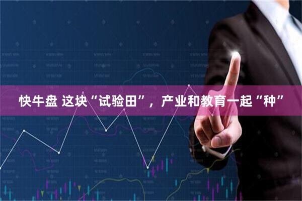 快牛盘 这块“试验田”，产业和教育一起“种”