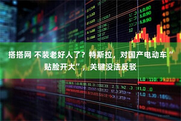 搭搭网 不装老好人了?特斯拉,对国产电动车“贴脸开大”,关键没法反驳